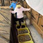 C&rsquo;était au temps de la préhistoire…