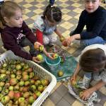 Atelier « Du verger au verre »