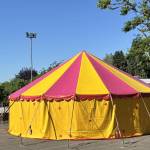 Quand le cirque s&rsquo;invite à l&rsquo;école !